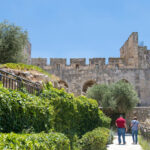 התנדבות גדול