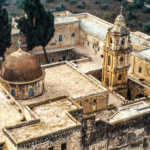 העץ הנדיר מנזר המצלבה