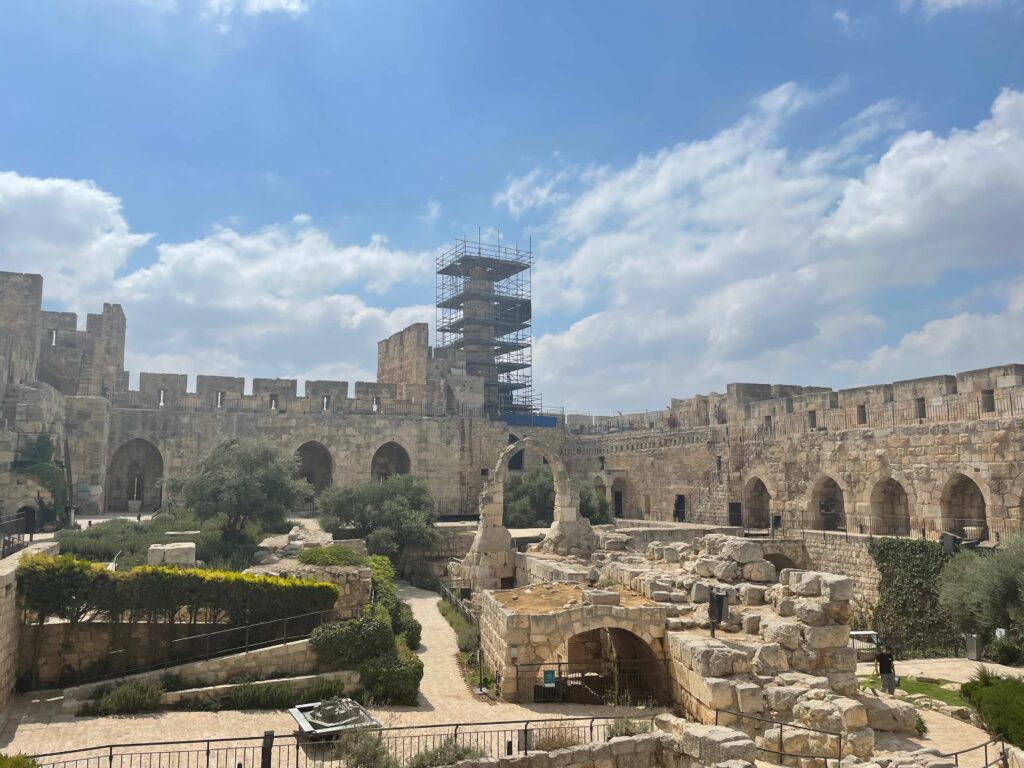 מגלד וד