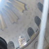 HolyLight2009קרדיט טי וייט נויין