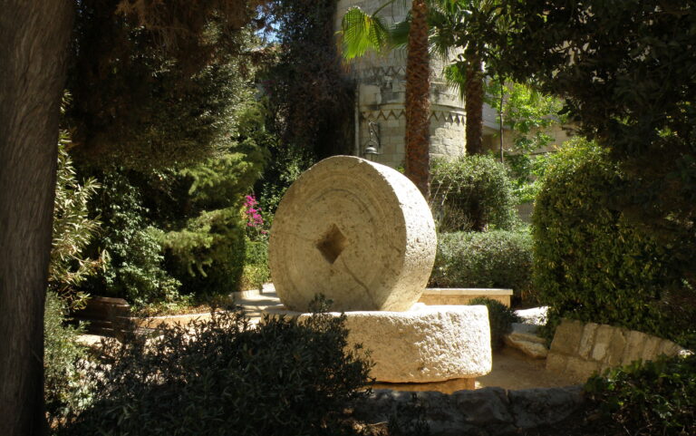 מישהו לרוץ איתו