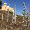 כנסיית סנט אנדרוז נמצאת על מורדות גבעת התנ