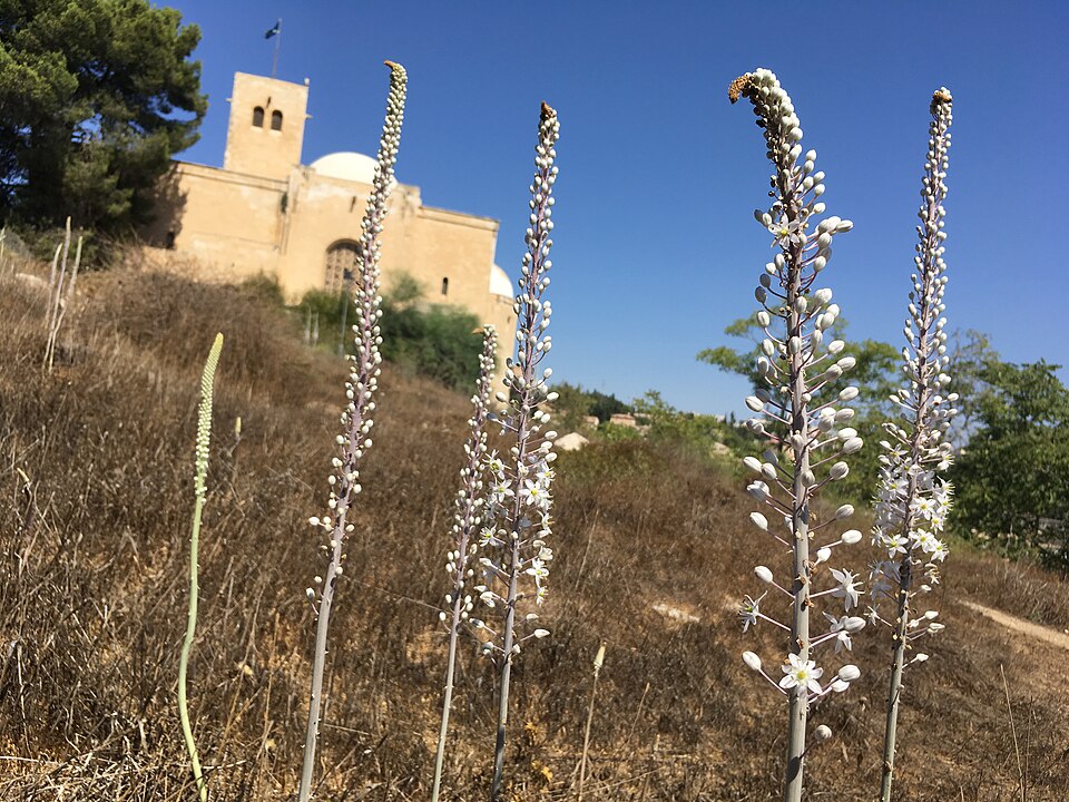 כנסיית סנט אנדרוז נמצאת על מורדות גבעת התנ"ך. הכנסייה שייכת לכנסייה של סקוטלנד, והיא נבנתה כמונומנט הנצחה לחיילים הסקוטים בצבא בריטי, חללי מלחמת העולם הראשונה.