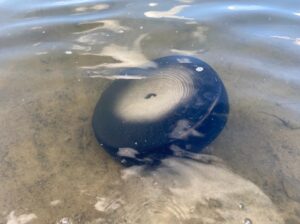 Lake of Void: A New Video Work by Yehudit Sasportas